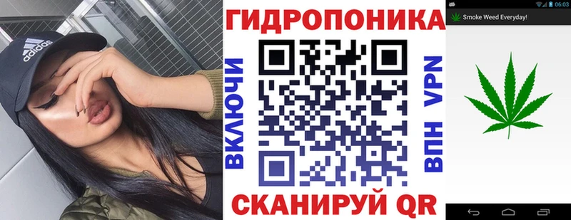 Купить наркотики Северодвинск Бошки Шишки  Бутират  APVP  ГАШИШ  Меф 