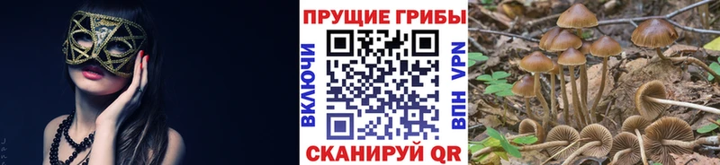 Псилоцибиновые грибы мухоморы  Северодвинск 